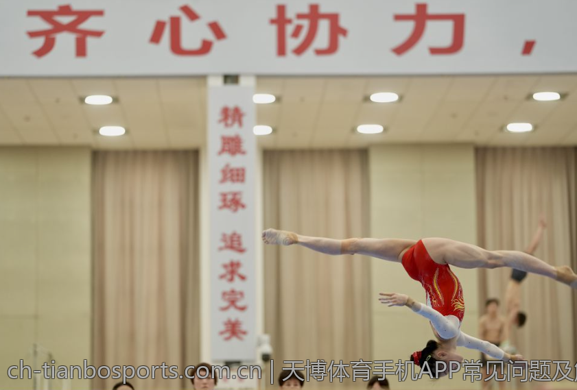 天博体育手机APP常见问题及解决方案
