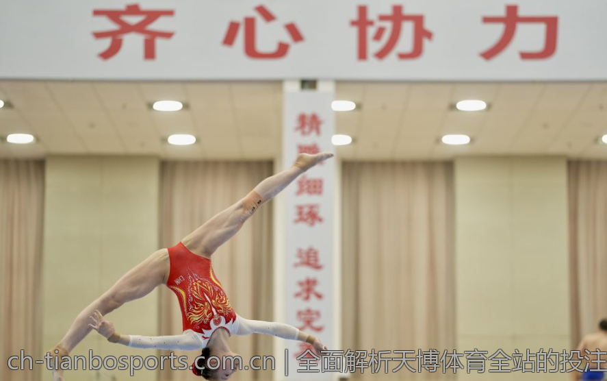 全面解析天博体育全站的投注方式