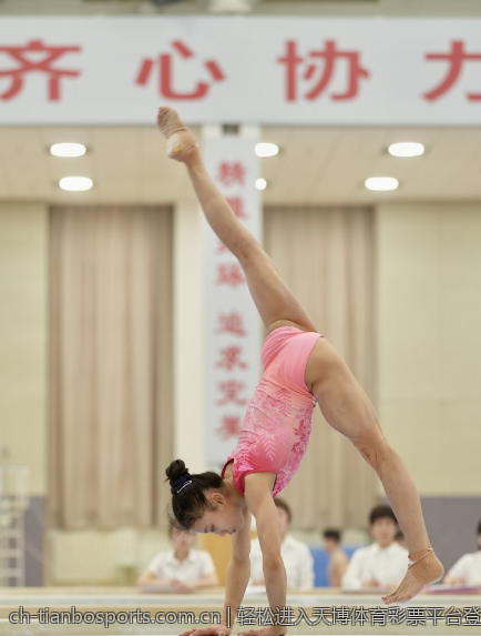 轻松进入天博体育彩票平台登录页面